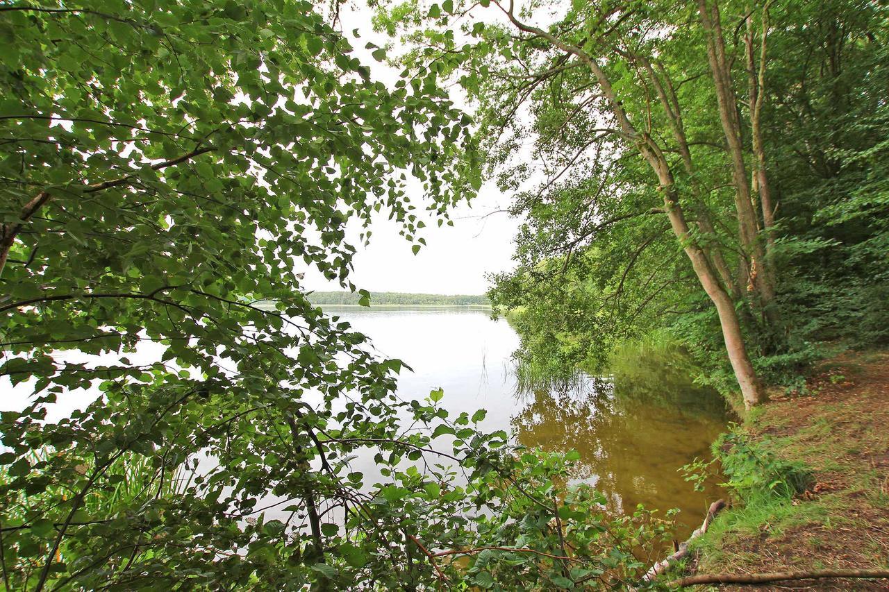 Schwarz Ferienwohnung Im Forsthaus Am See מראה חיצוני תמונה